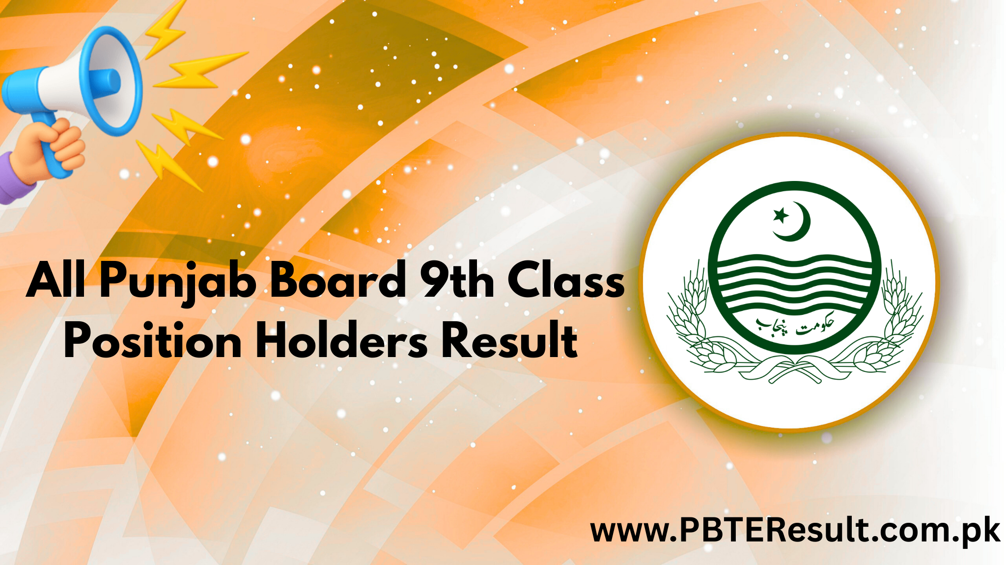 All Punjab Board 9th Class Position Holders Result